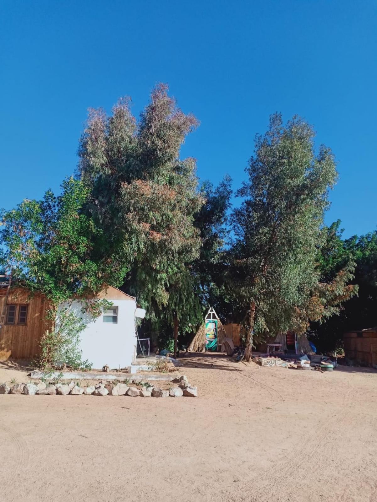 Garden House Chalet