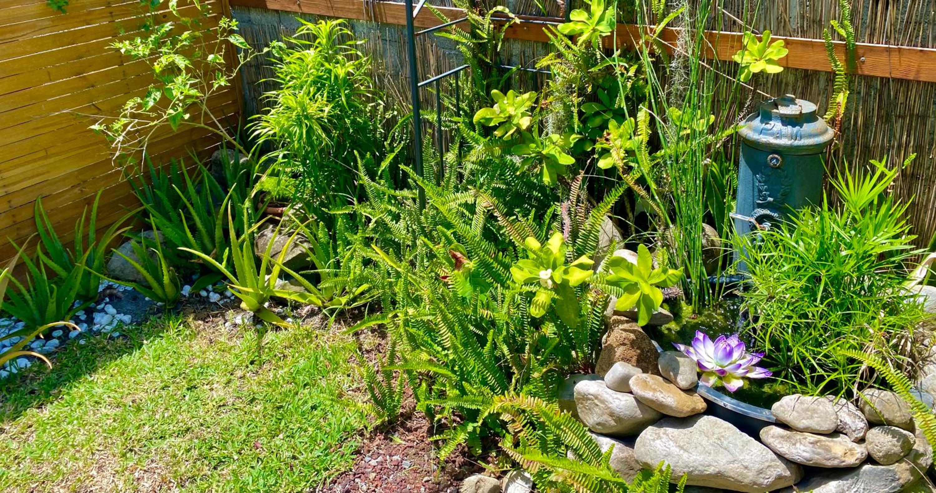 Les îlots du soleil levant