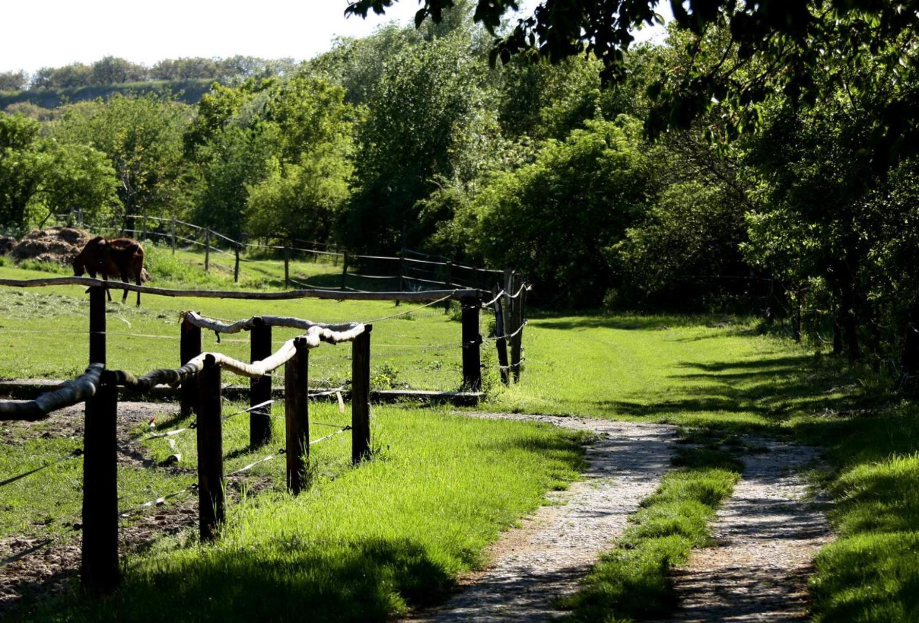 Penzion Starovice