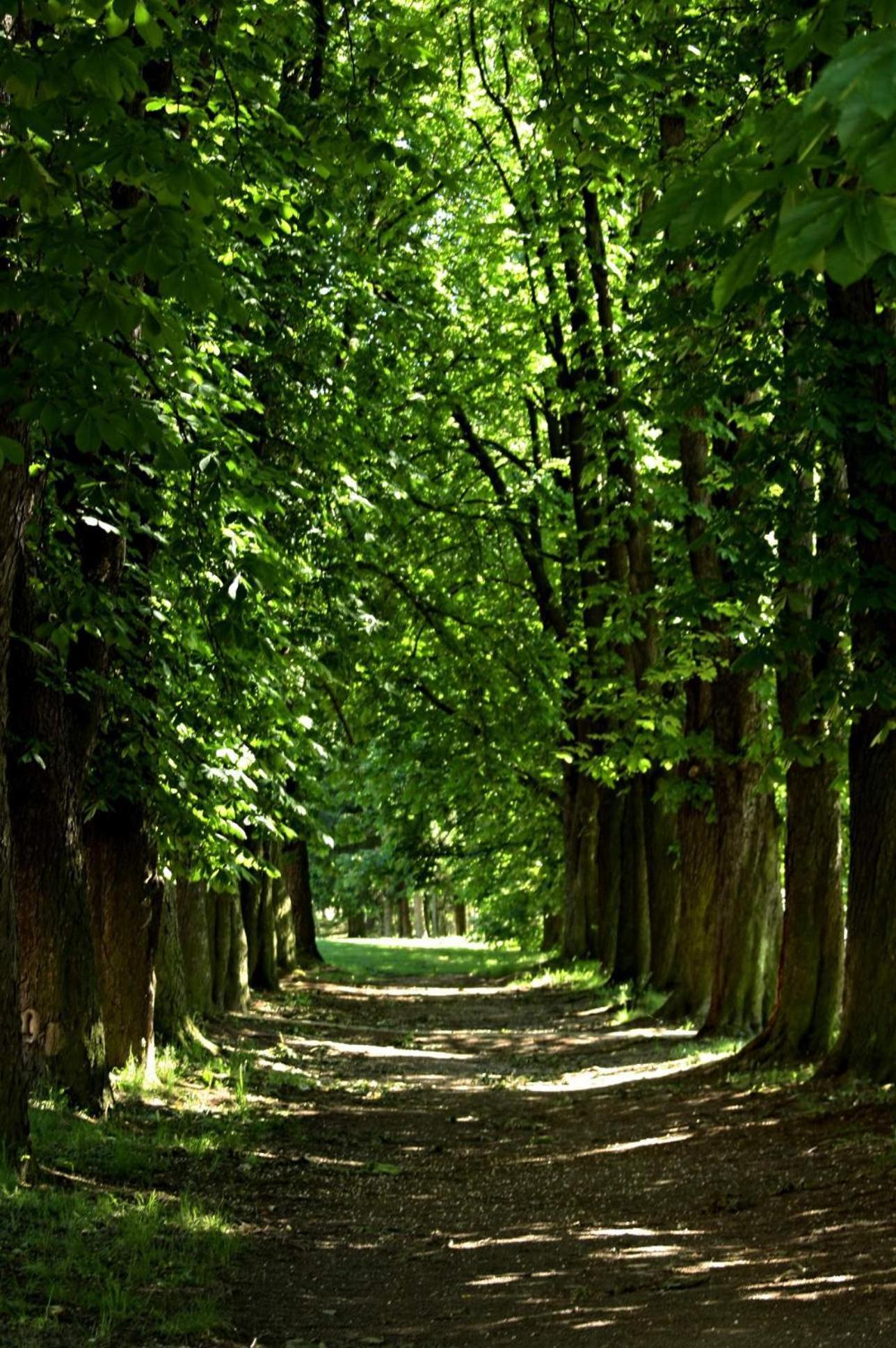 Penzion Starovice