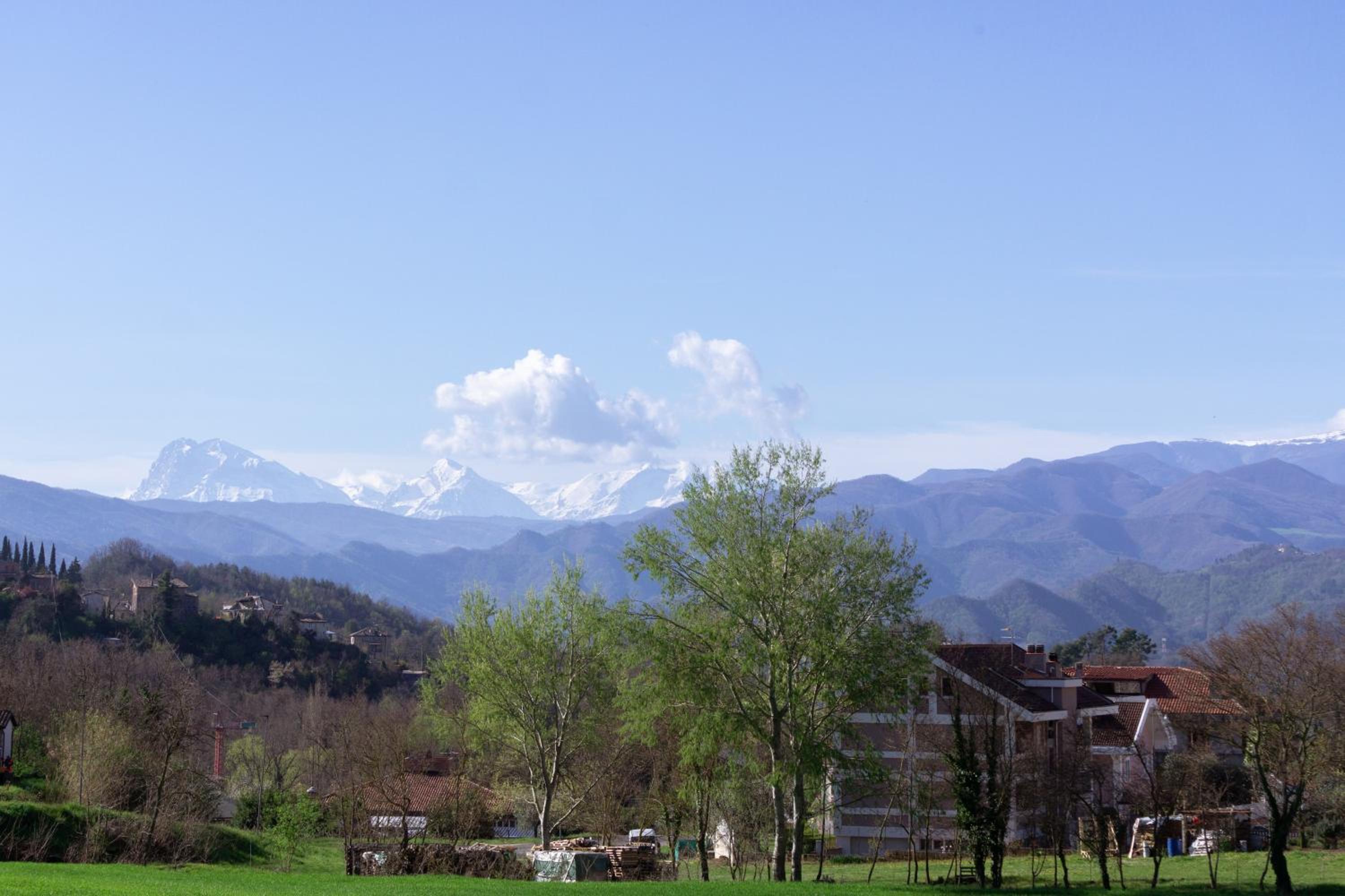 Le Colline di Giulia - Mini Casa ai piedi della collina view 3