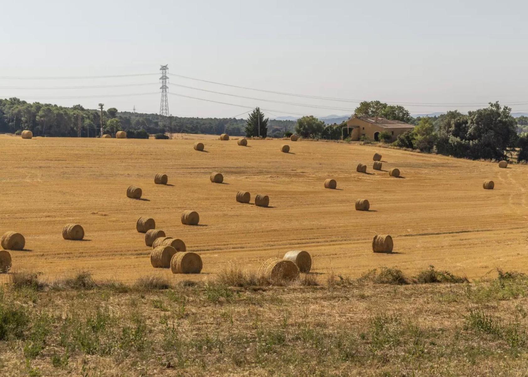 Grans Paisatges