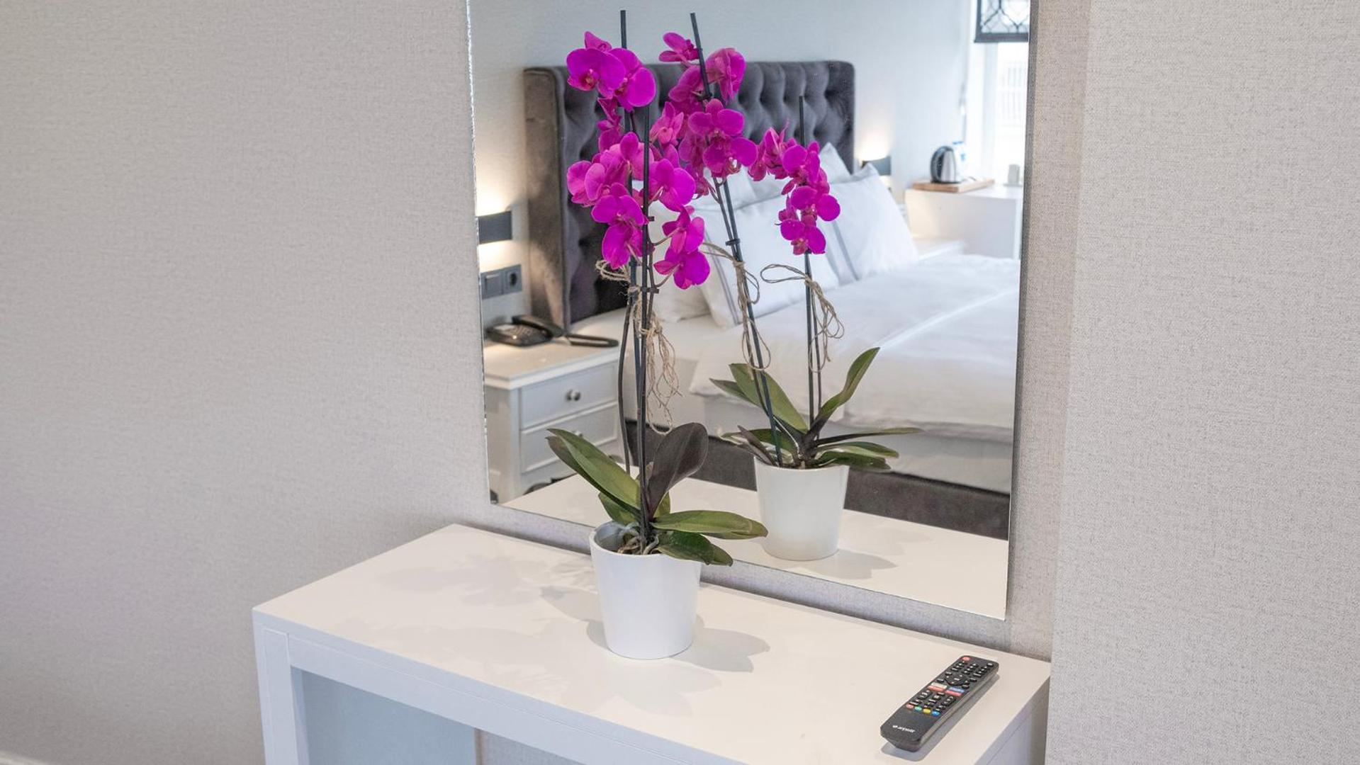 Loop Otel Bosphorus İstanbul - Image 20