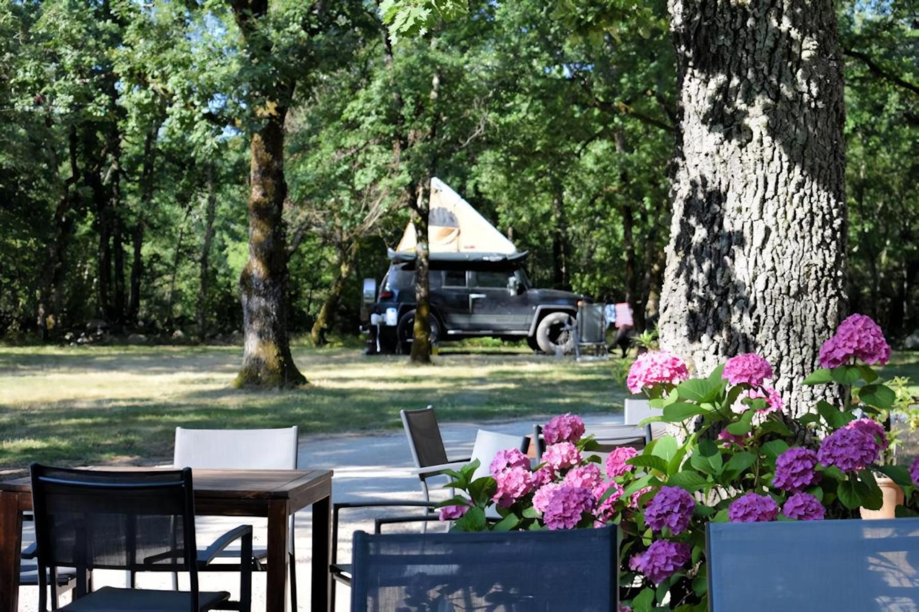 Lodges du Bois Dodo - ancien Camping de Bois Redon view 5