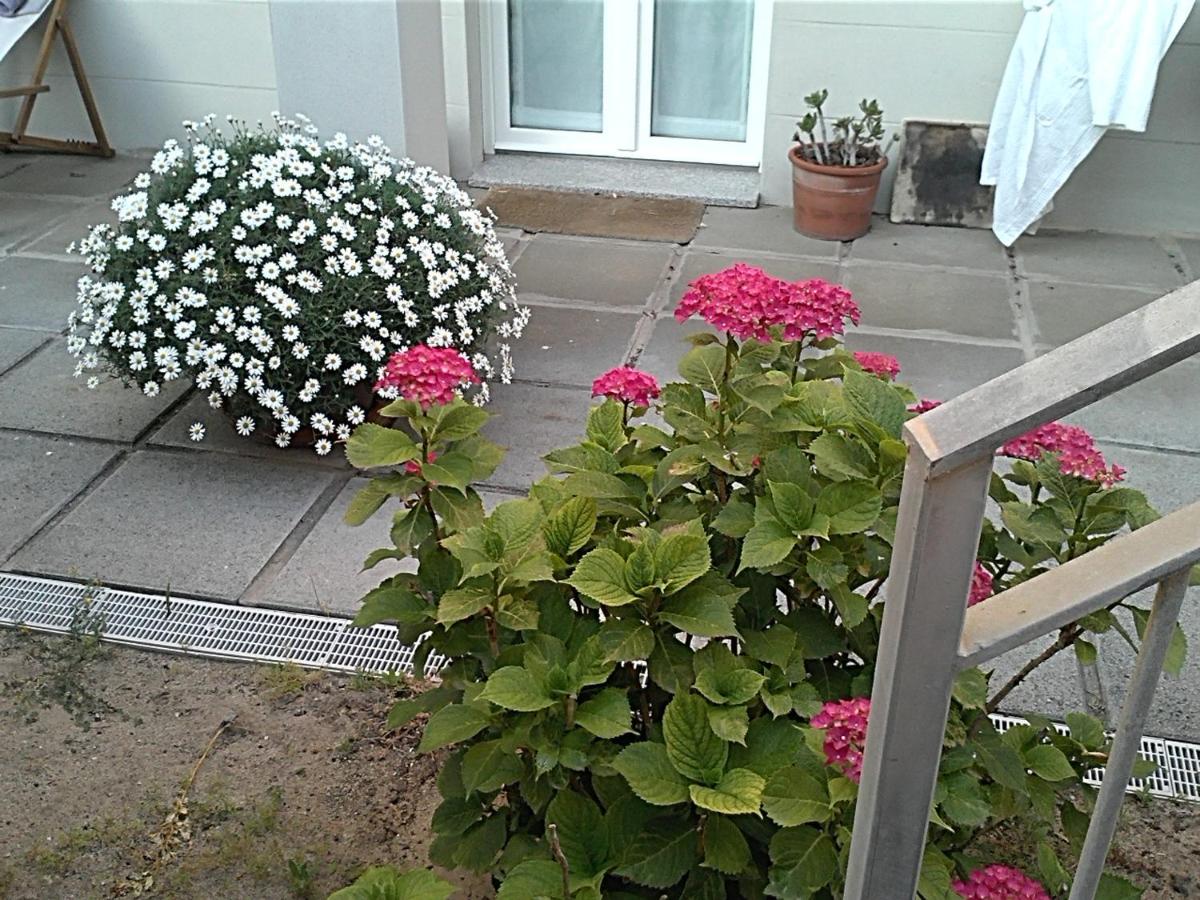 Photo 106