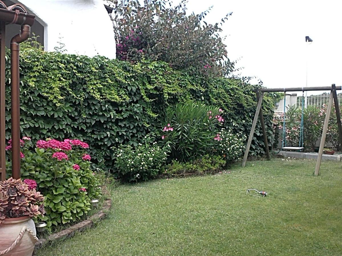 Photo 109