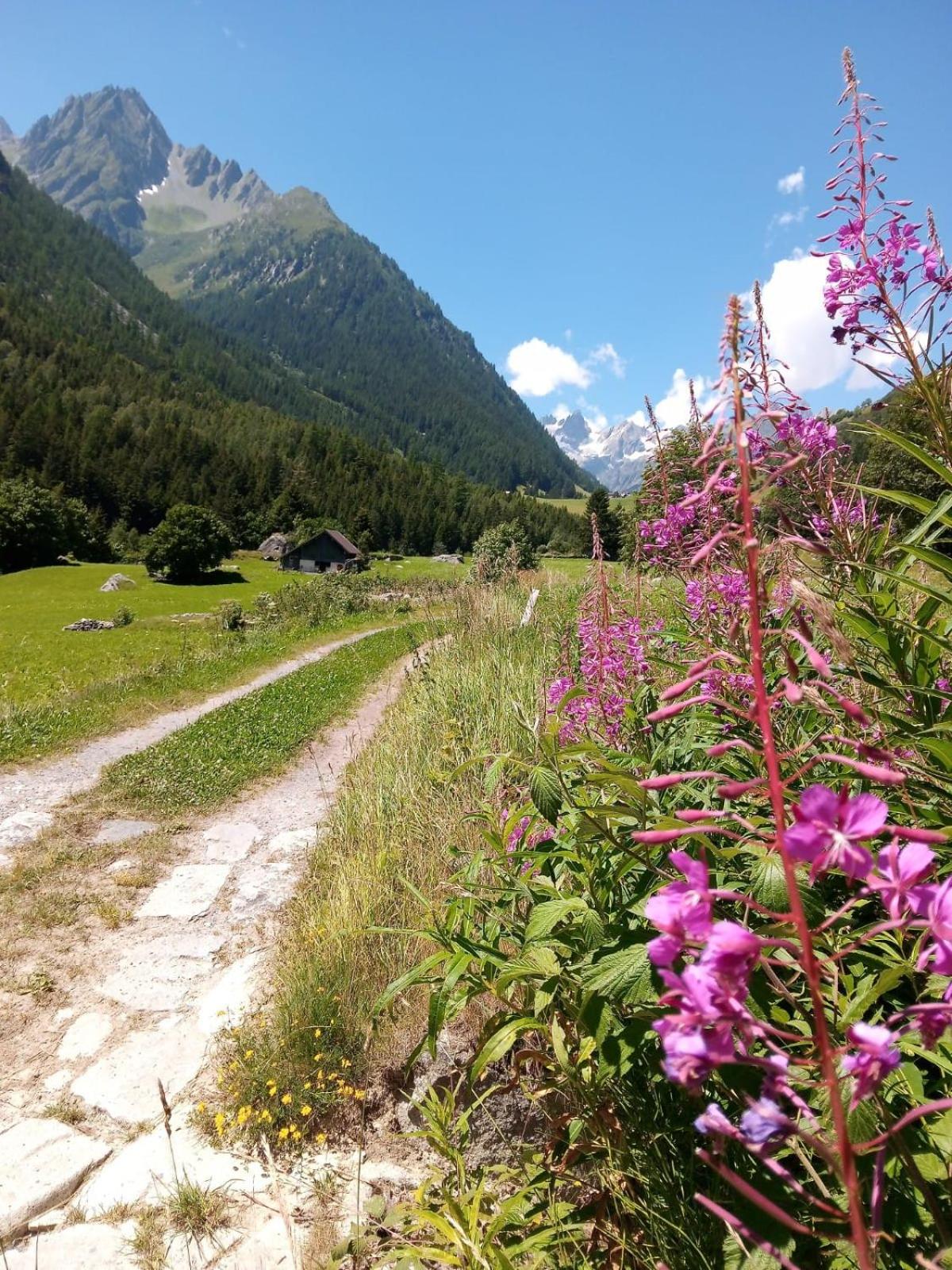 Gotthard Backpacker view 2