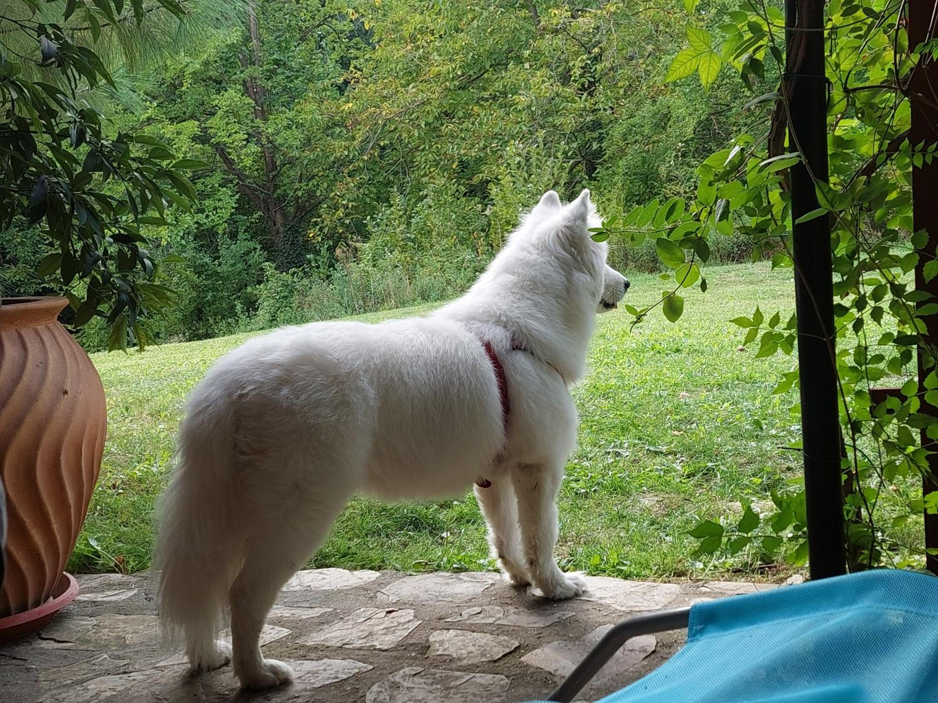 Photo 14