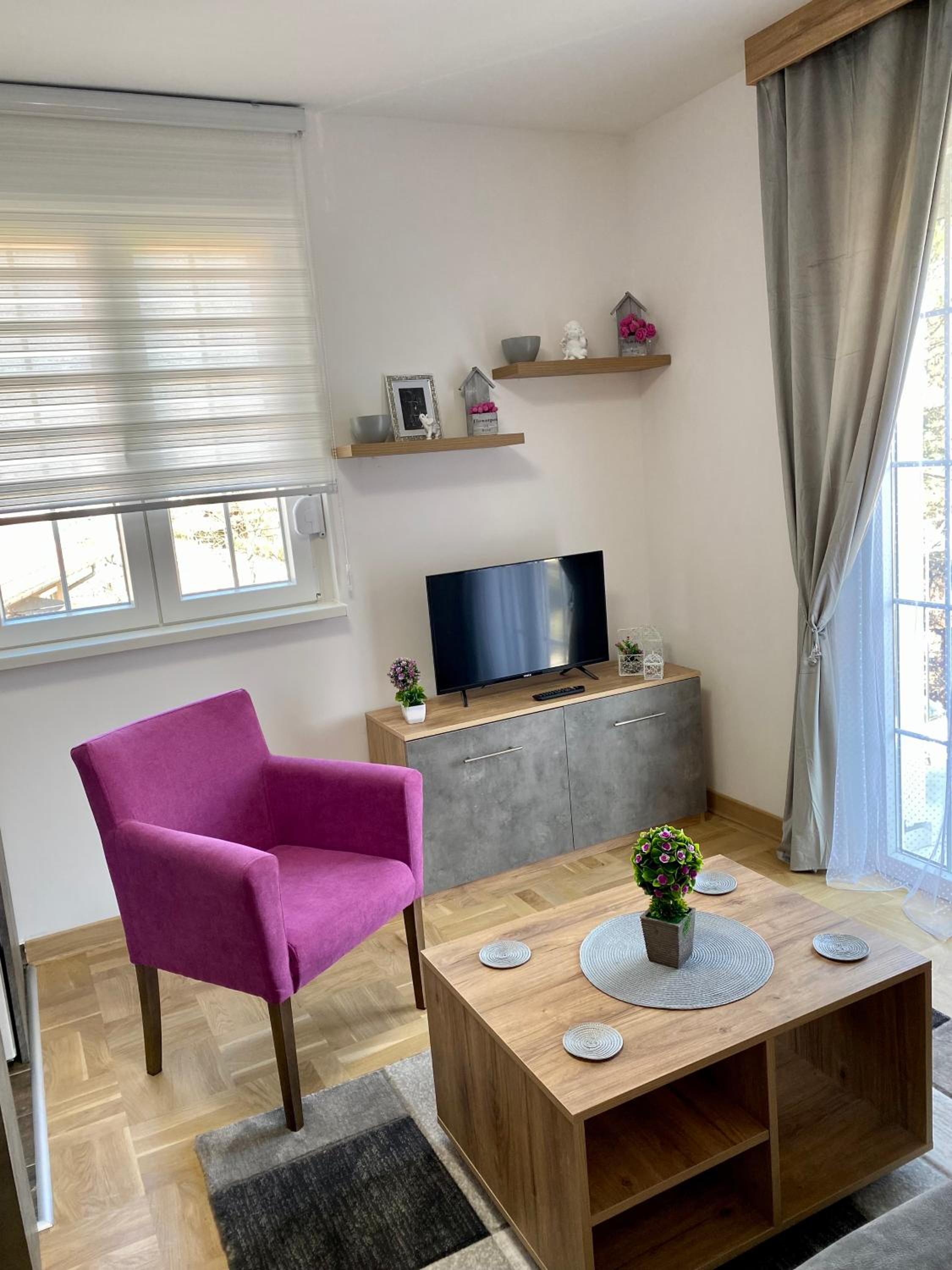 APARTMAN TAMARA LUX view 5