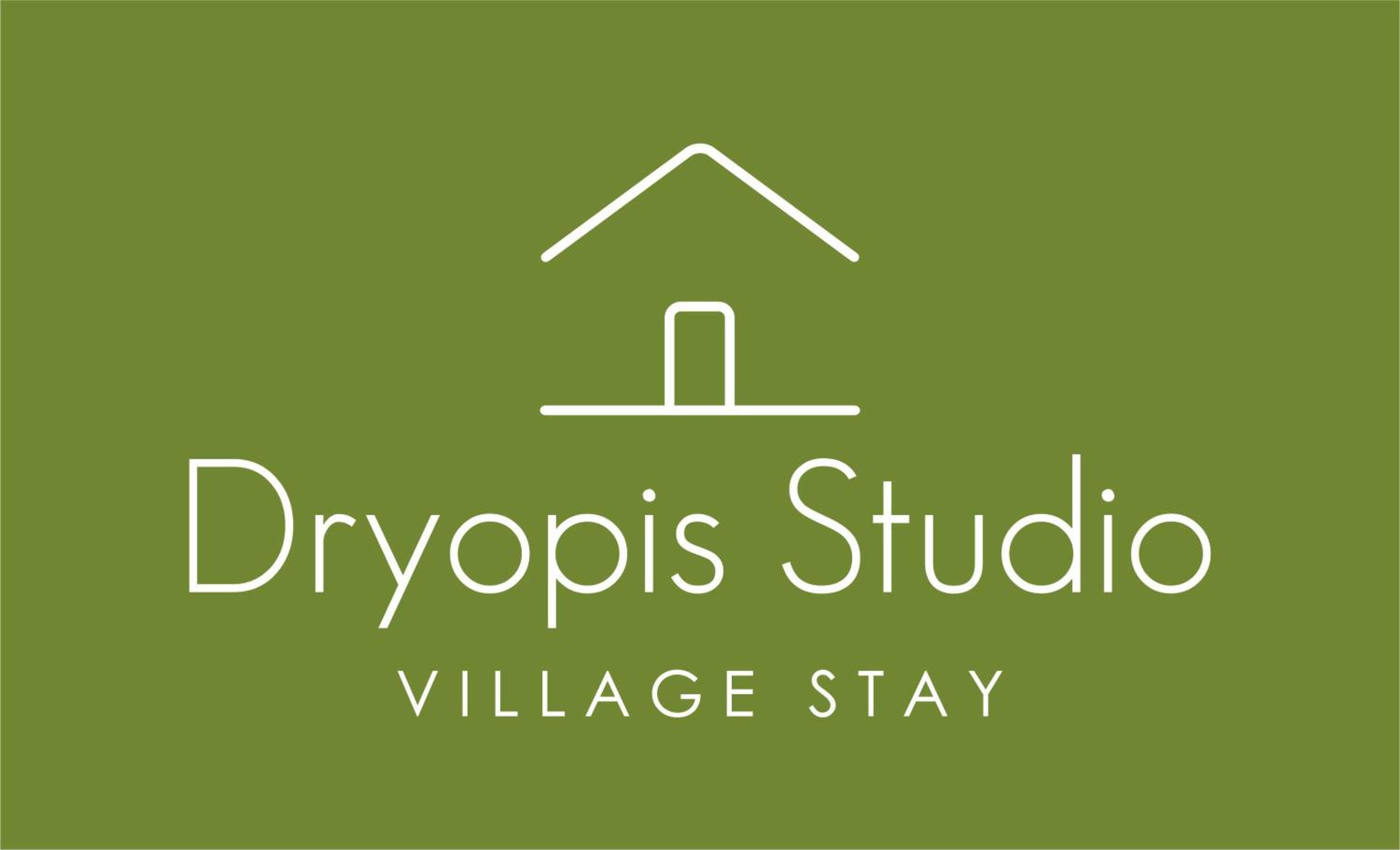 Dryopis Studio