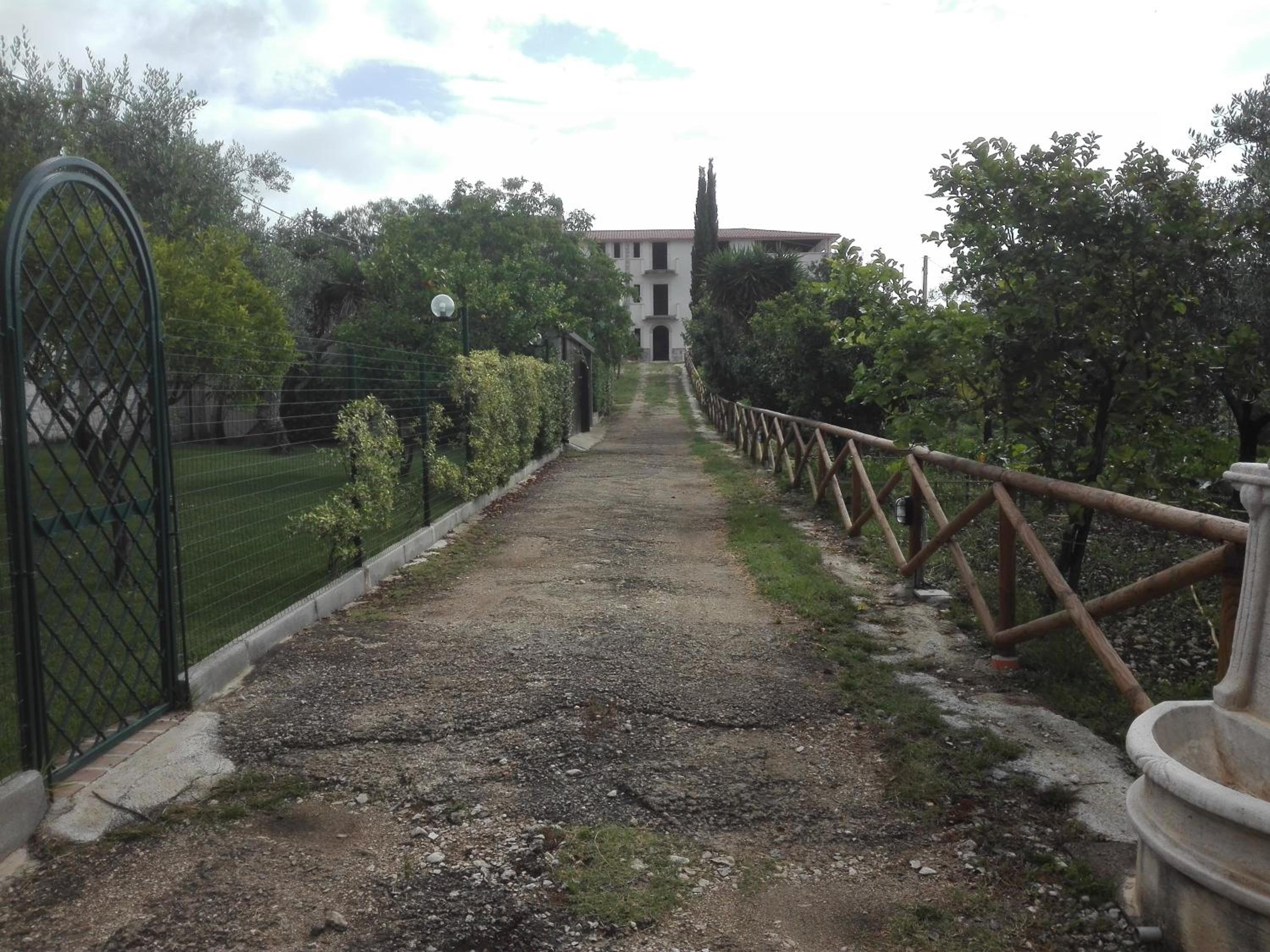 Photo 11