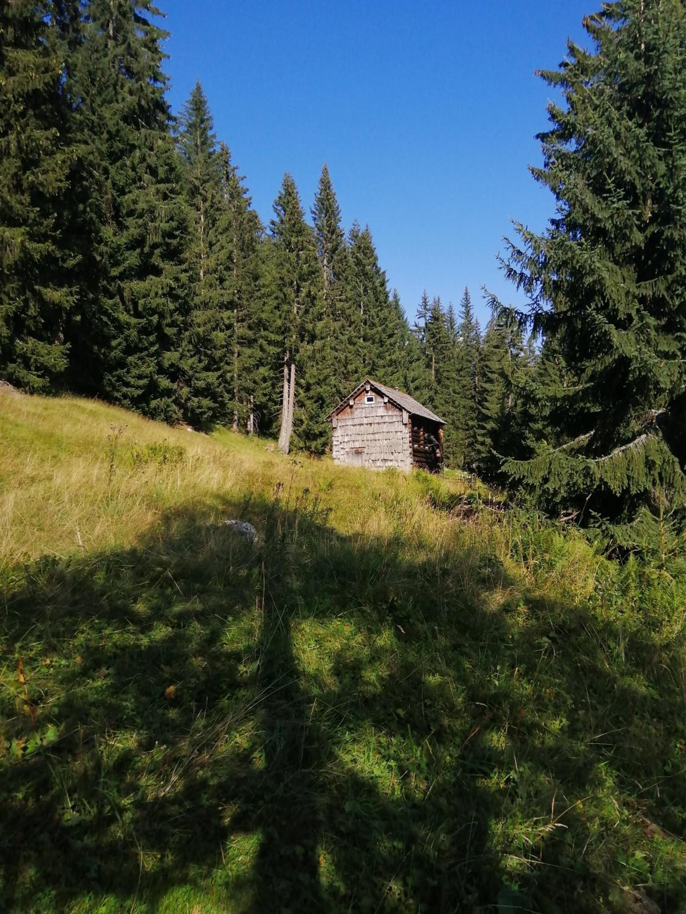 Haus Waldbach
