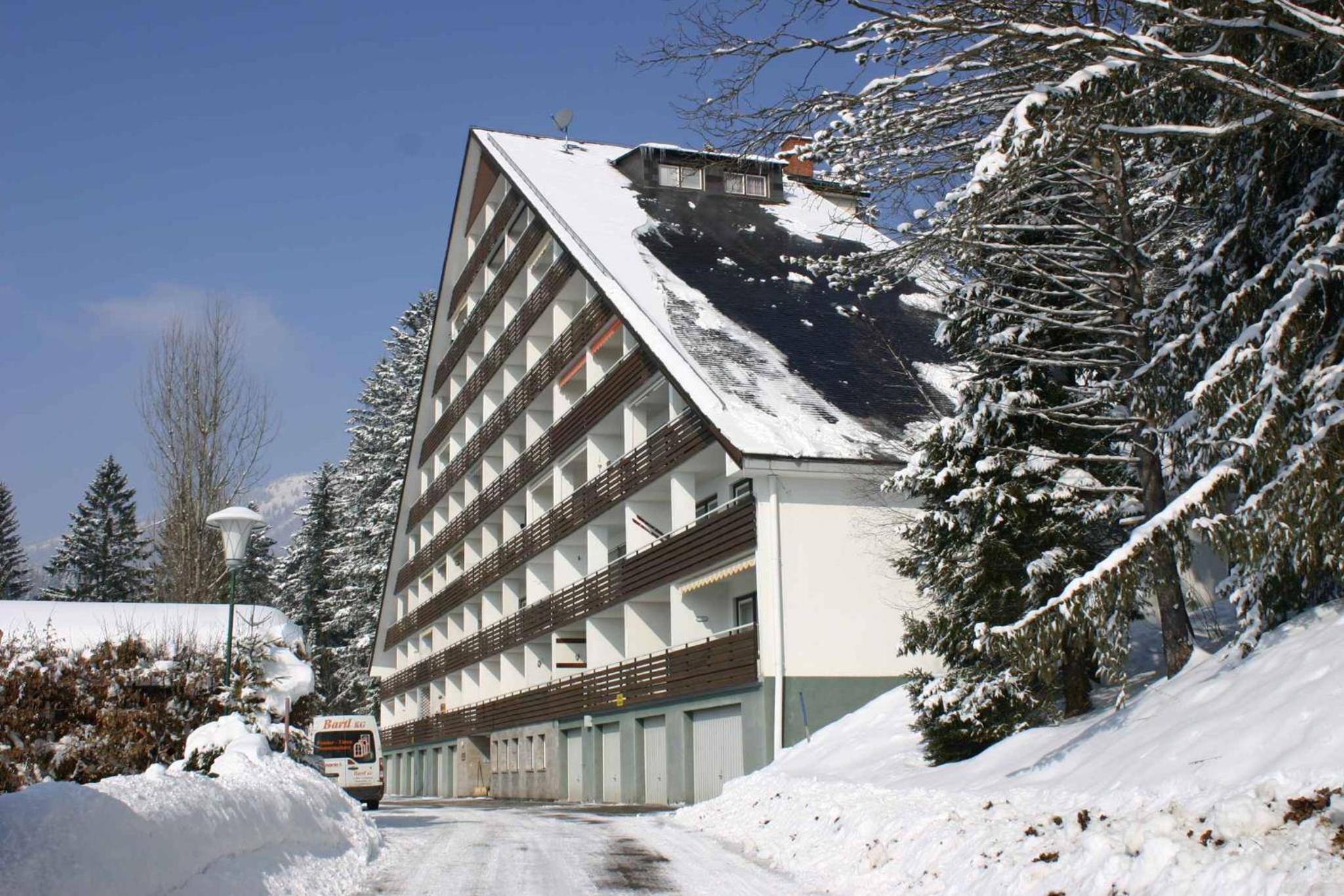 Apartment in Bad Mitterndorf - Steiermark 41116