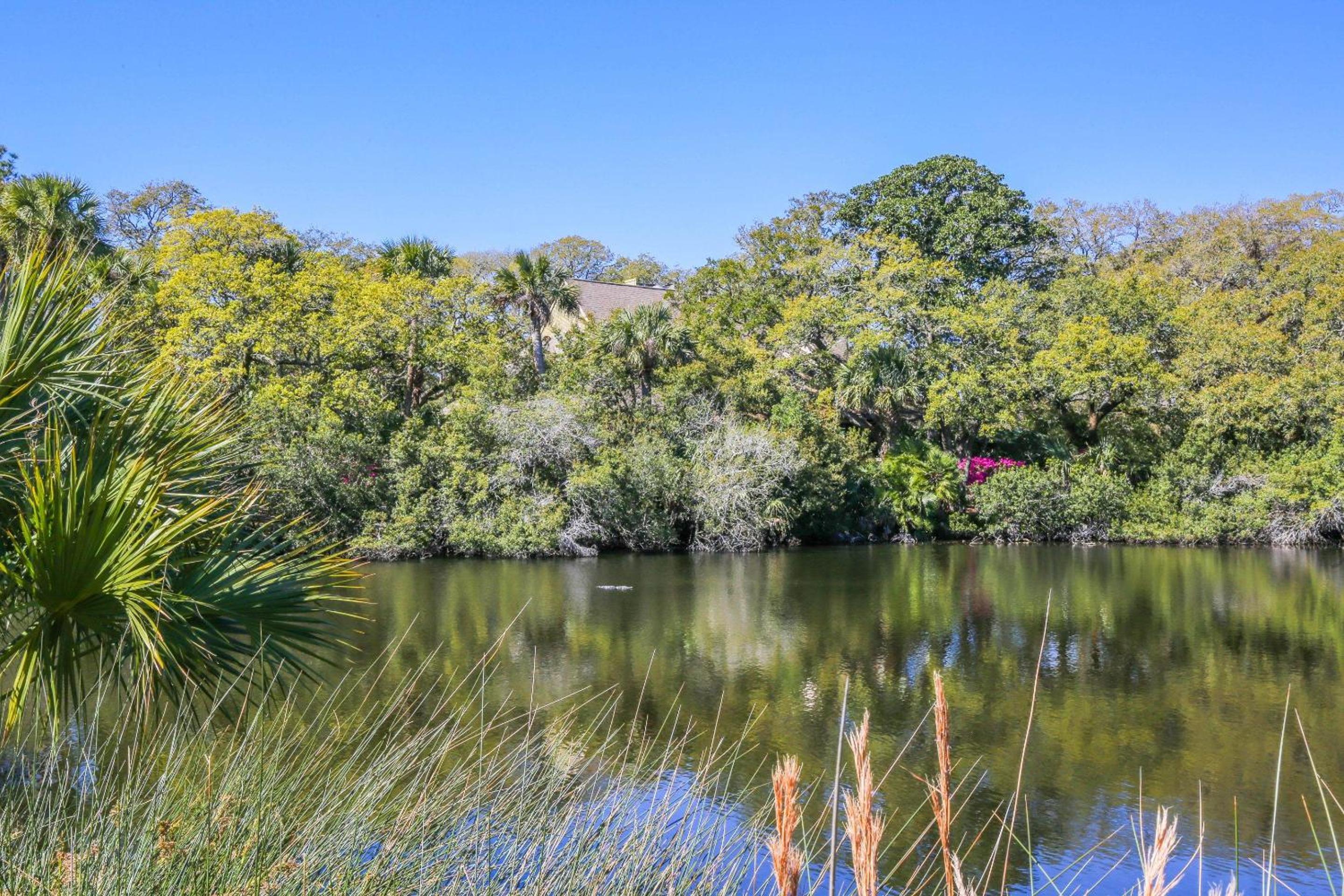 Laguna Operetta