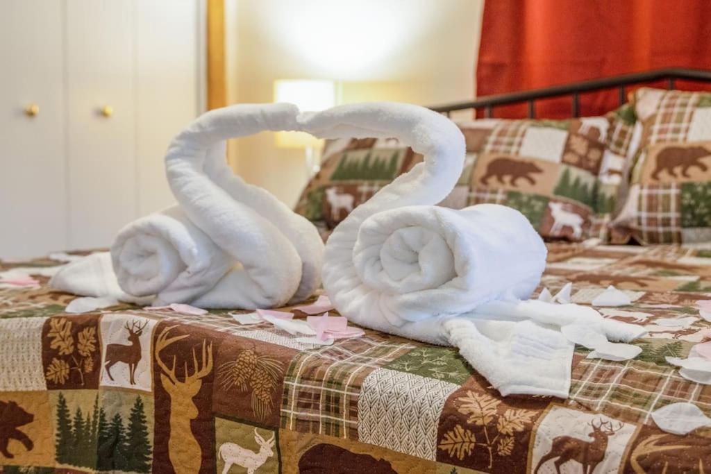 King Bed Pet friendly Smart lock Pigeon Forge