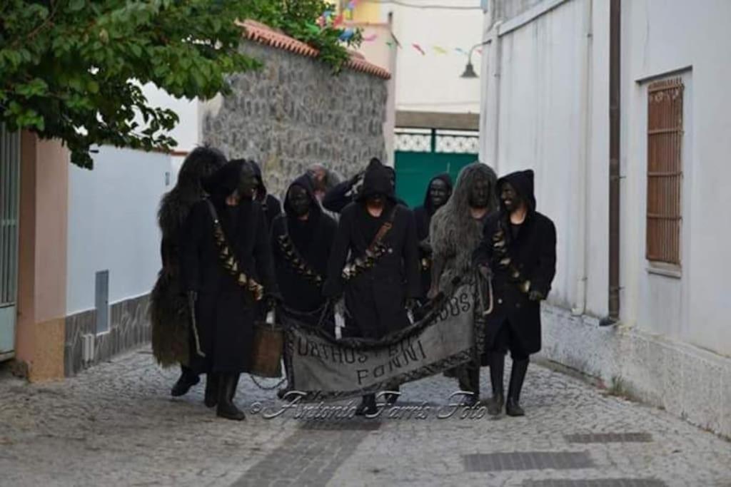 Photo 47