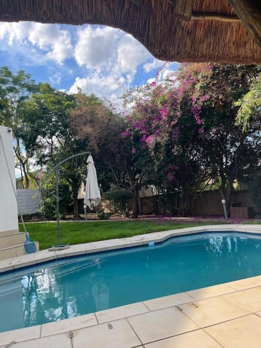 Cozy home with a pool in a leafy suburb of Lonehill, wake up to the sound of trees & birds!! view 4