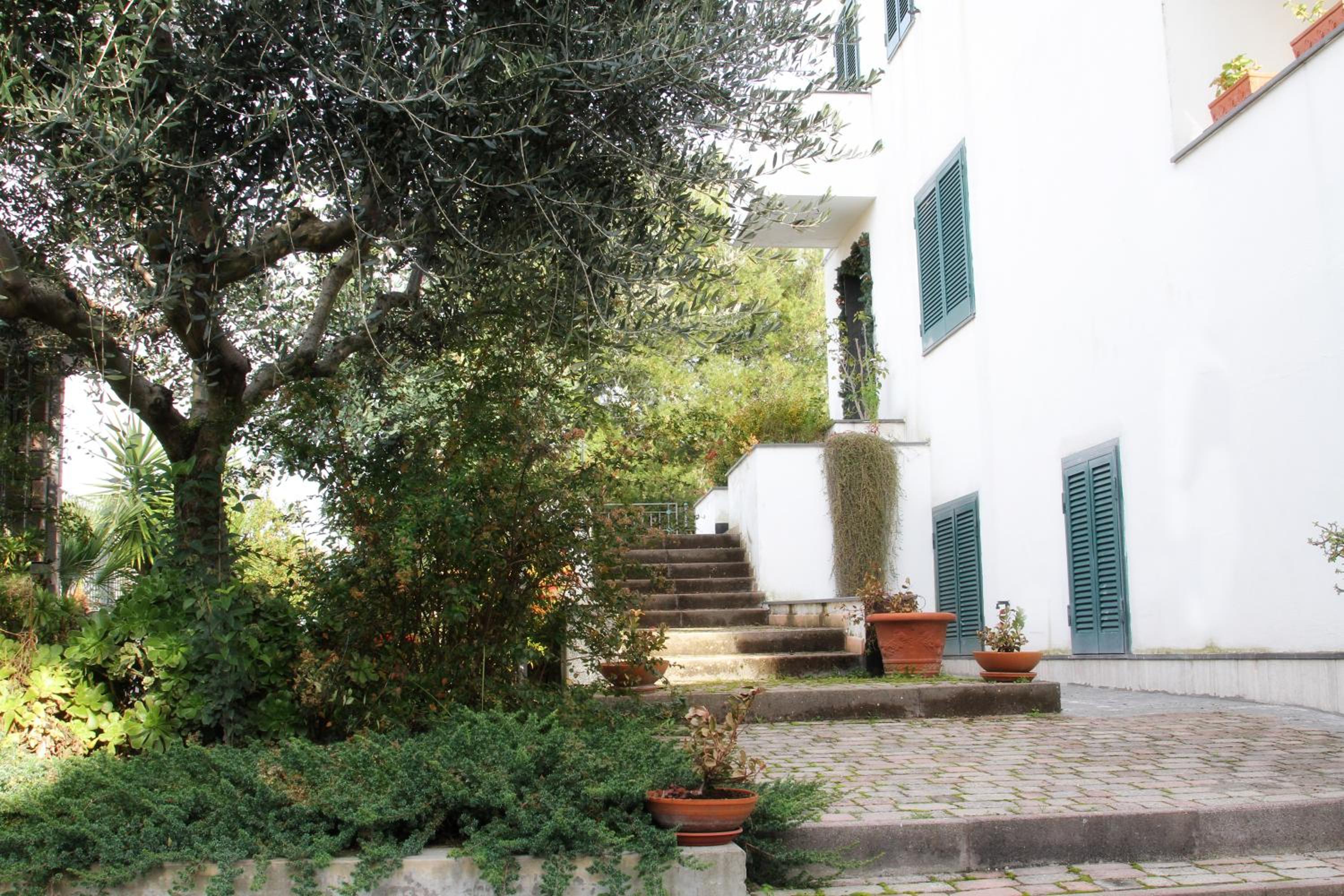 B&B Privileged view 2