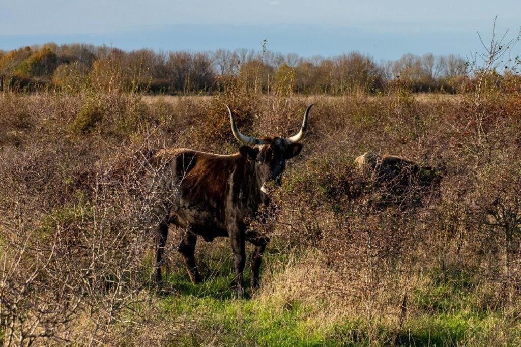 Heuvel zicht view 4