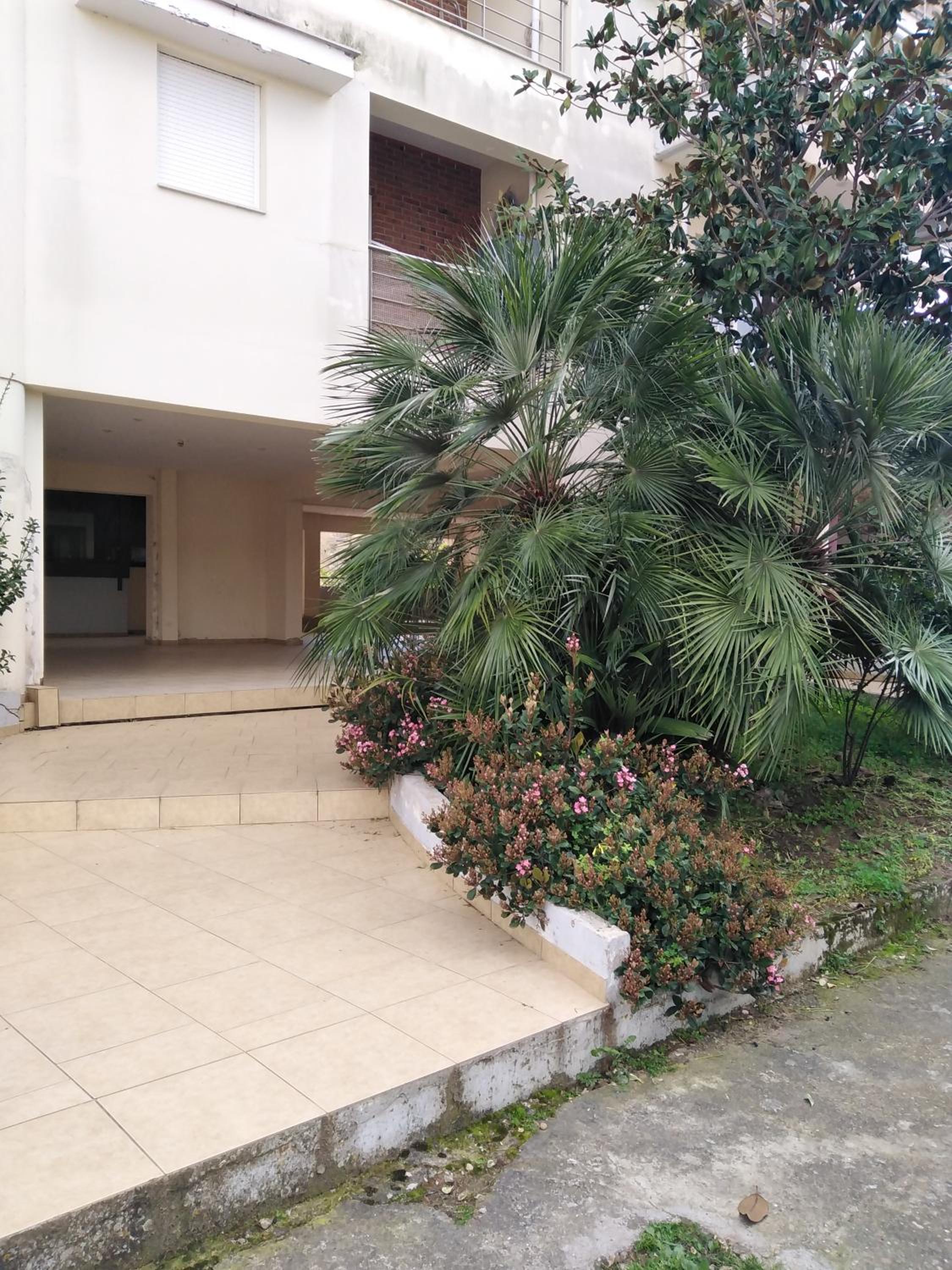 hommie apartment