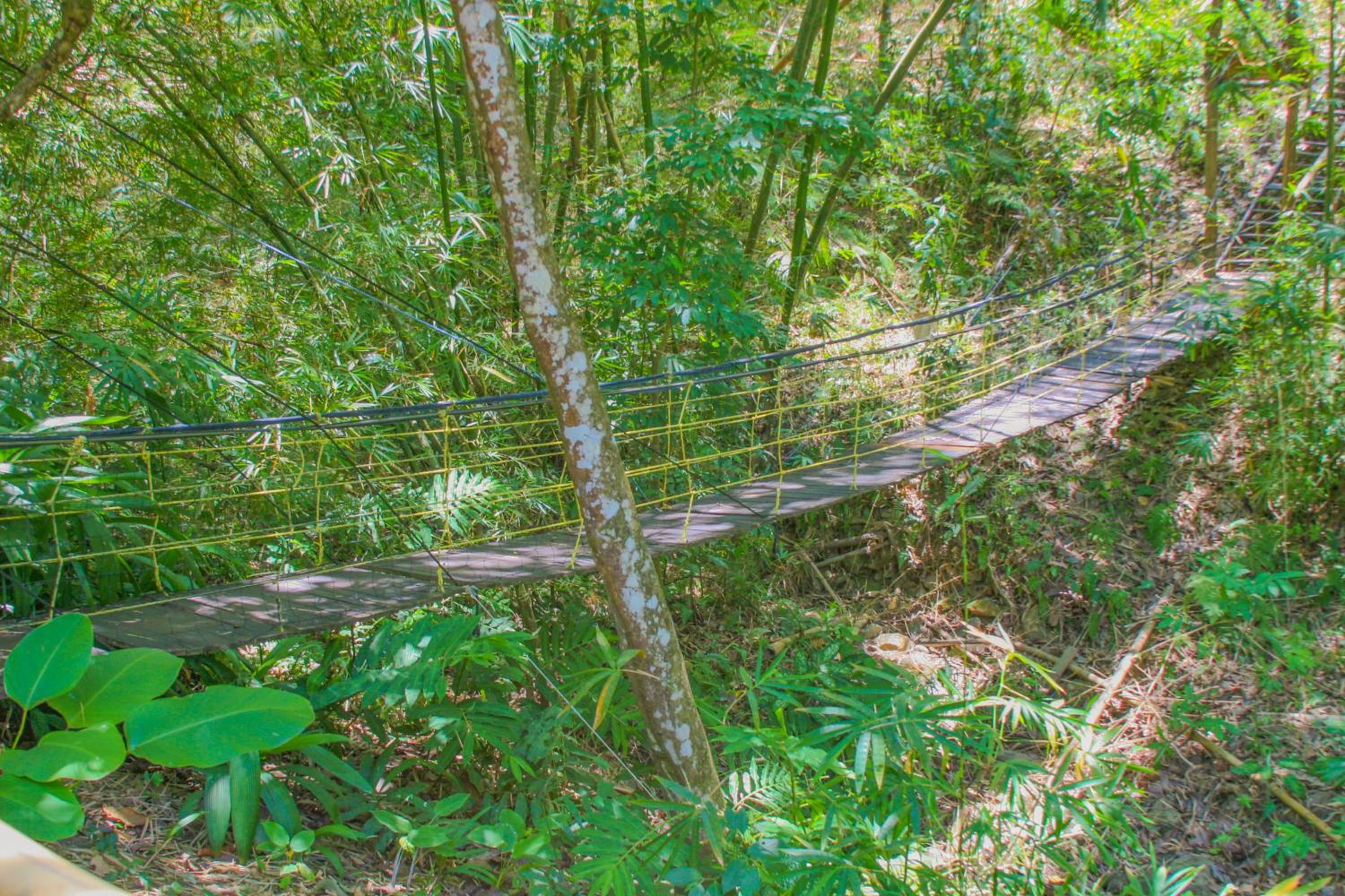 Las Cabanas del Rio - Property Image 4