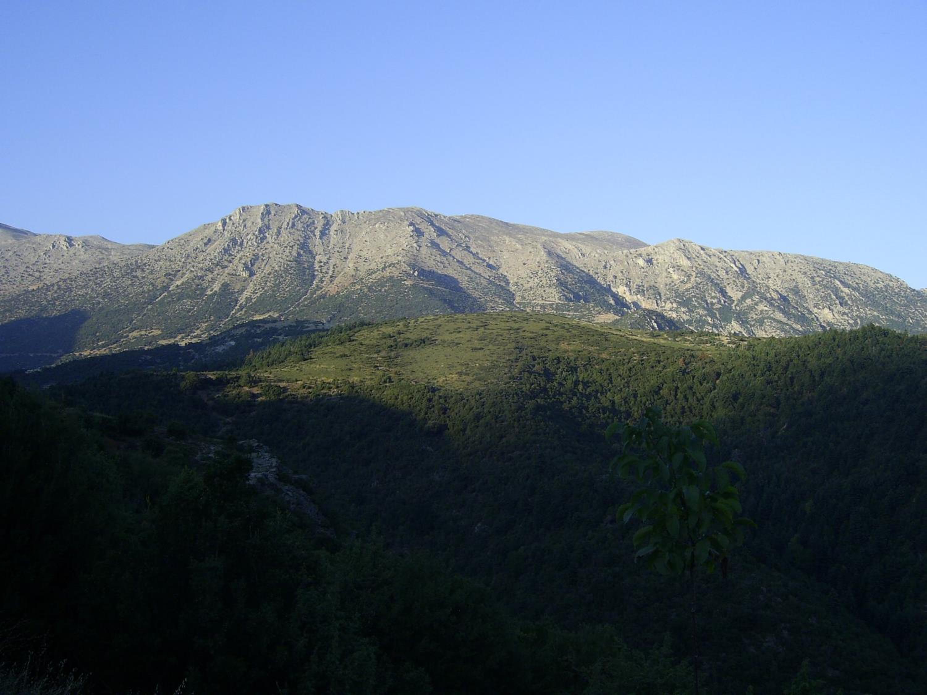 Guesthouse Kastania Korakis