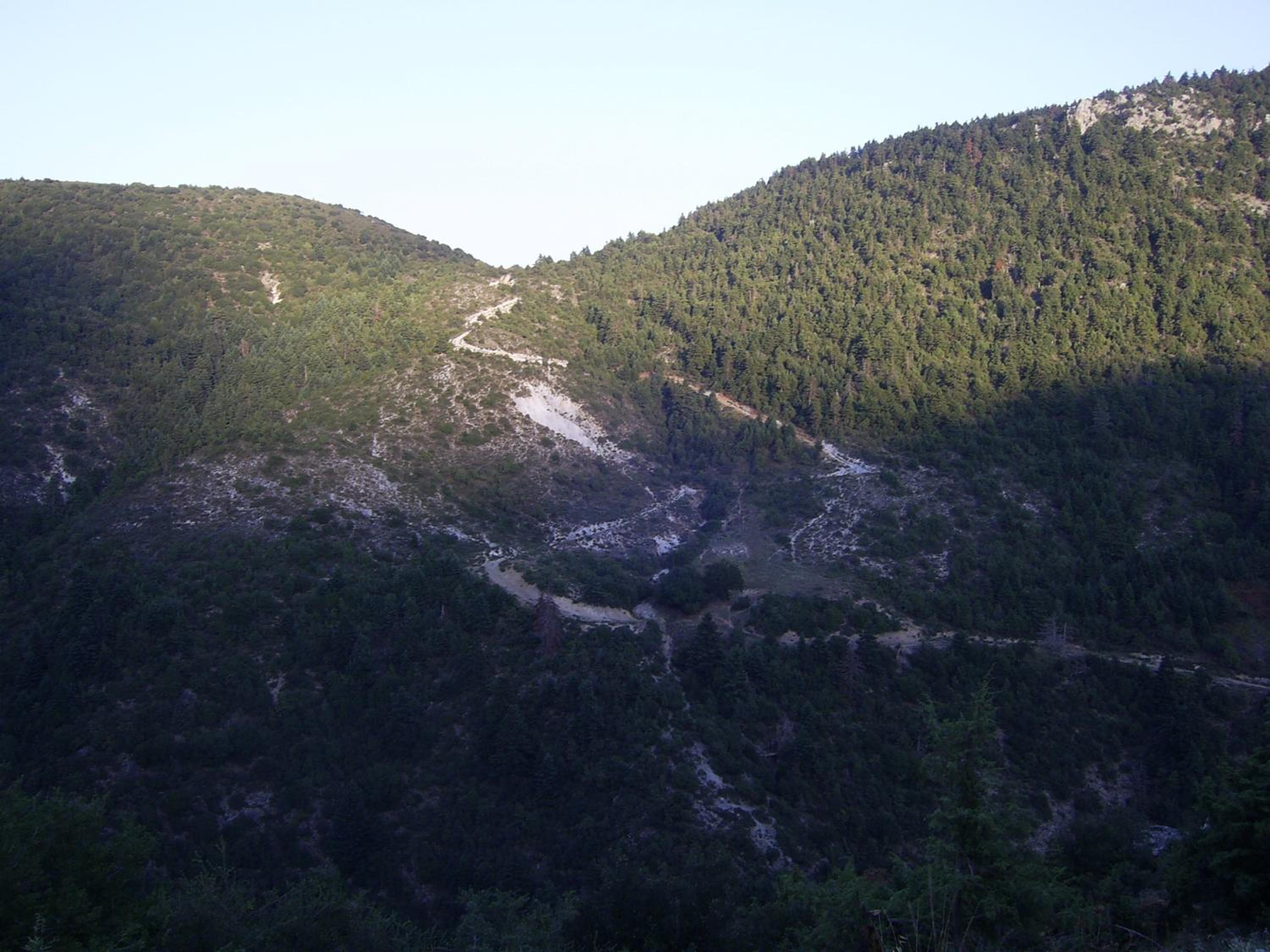 Guesthouse Kastania Korakis