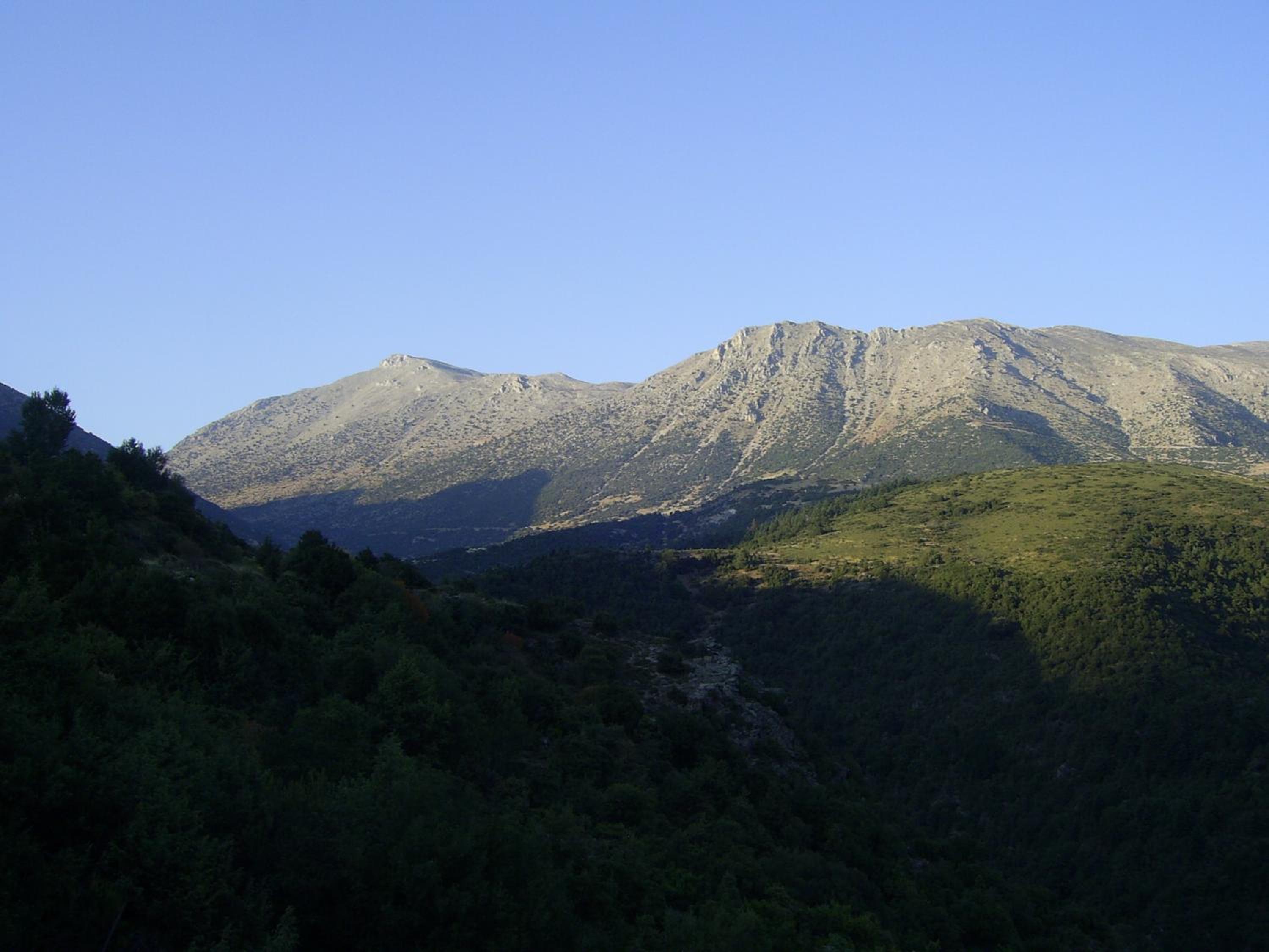 Guesthouse Kastania Korakis