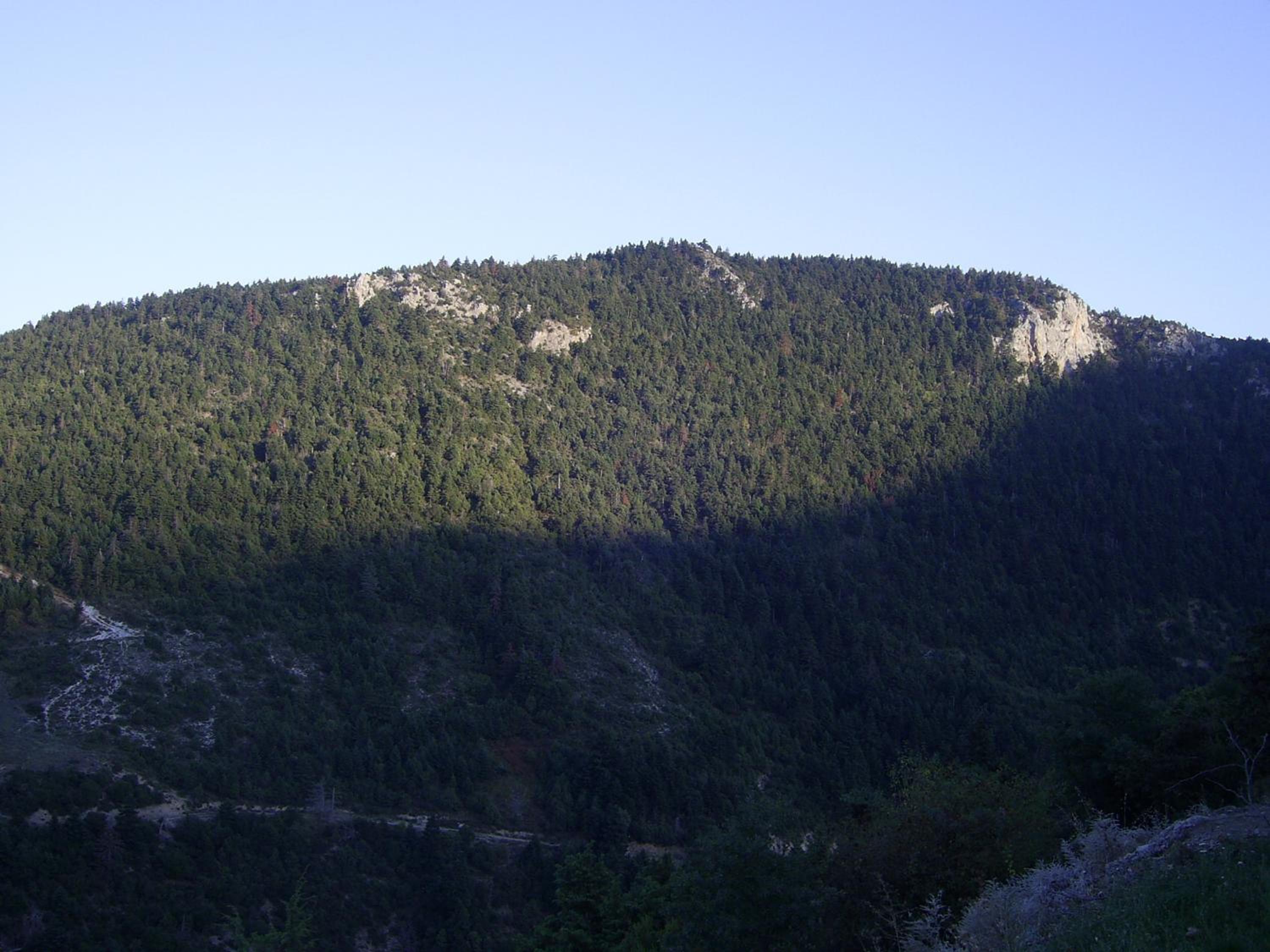 Guesthouse Kastania Korakis