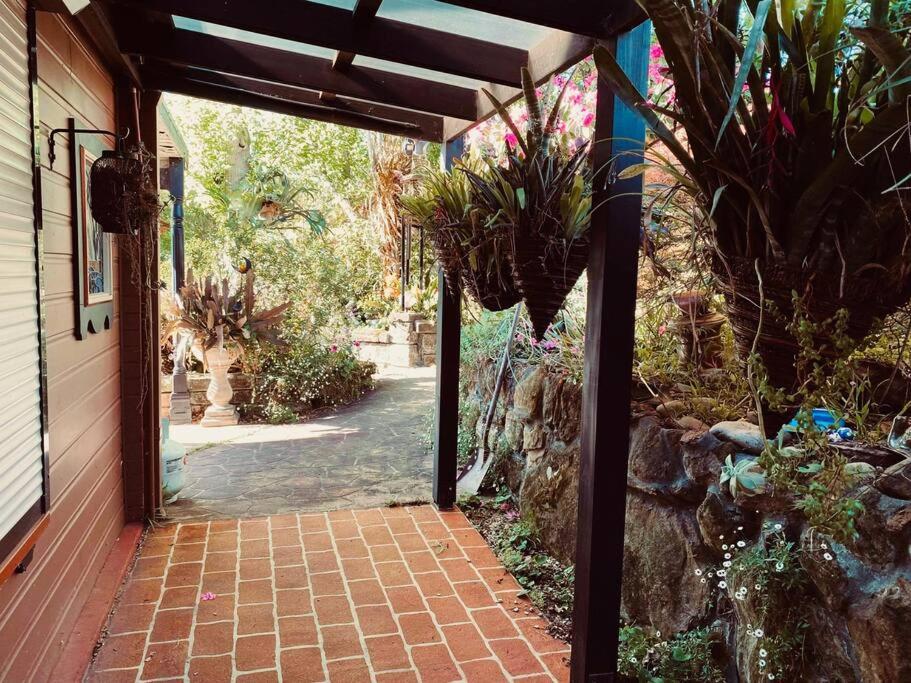 Paradise Lodge - Blue Mountains Wonderland