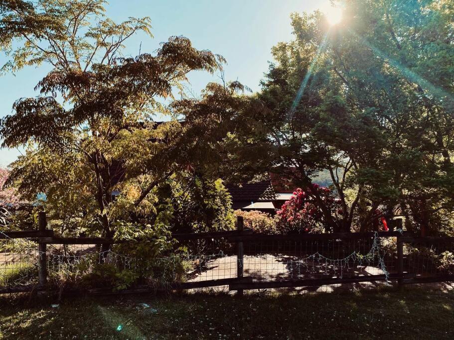 Paradise Lodge - Blue Mountains Wonderland