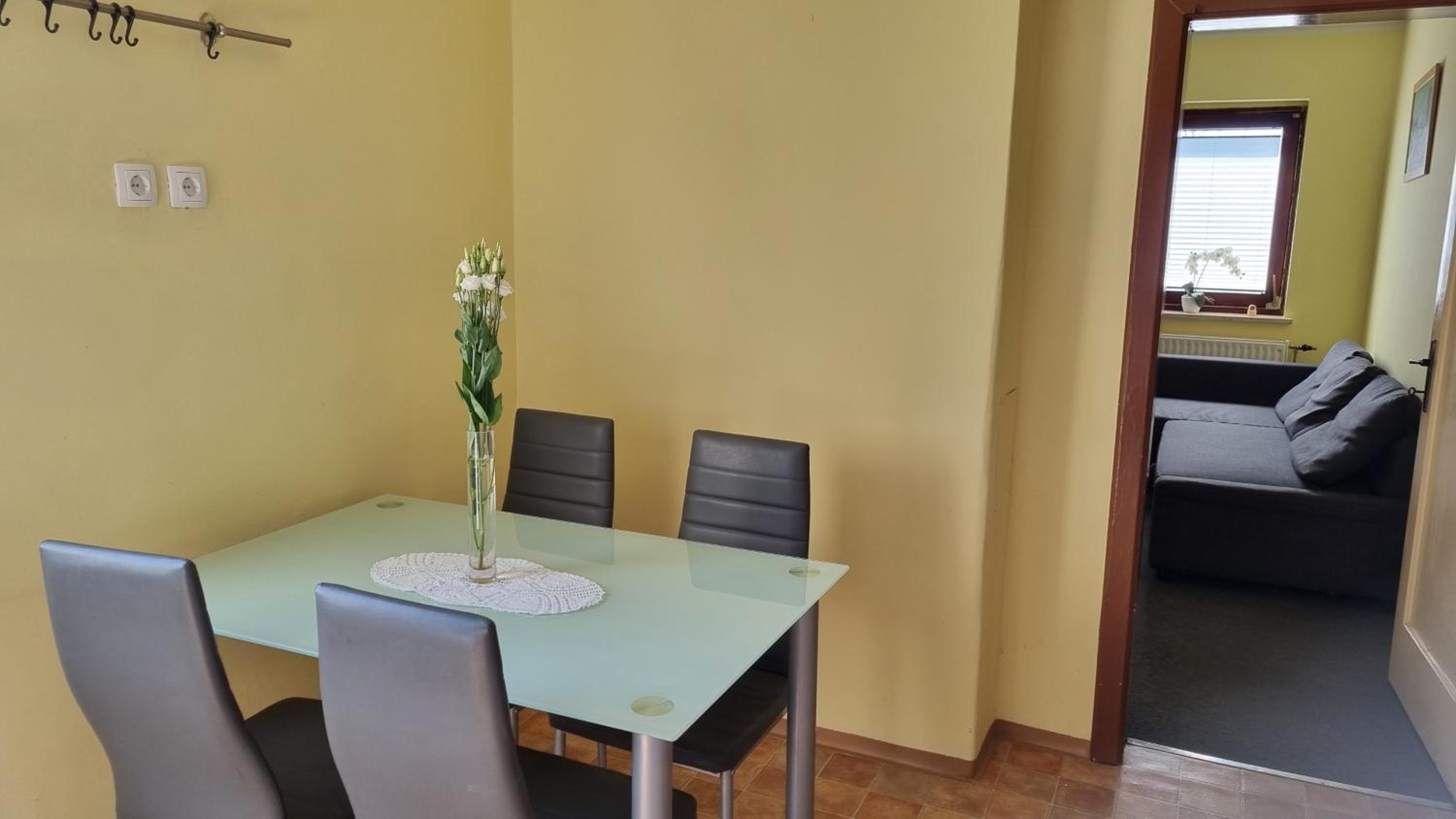 Apartma Tanja -Kamnik view 5