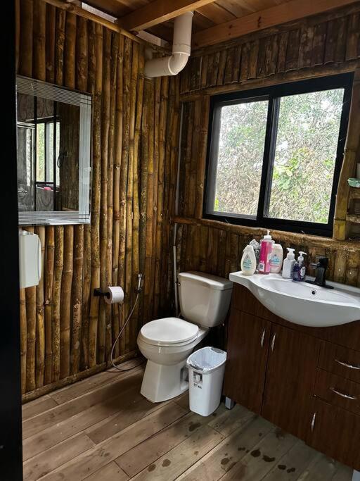 Aqeel cabin in the nature view 4