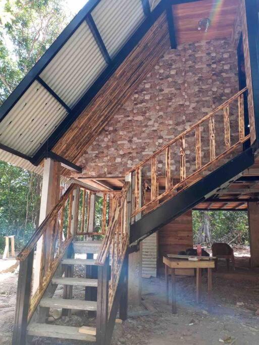 Aqeel cabin in the nature view 5