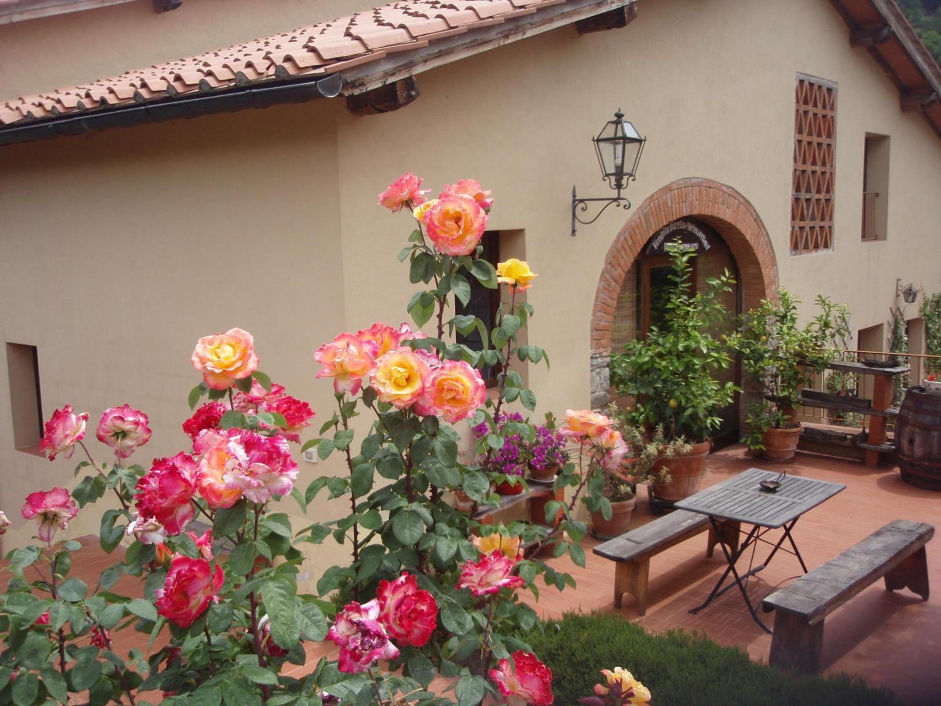 Villa Buonasera Agriturismo view 5
