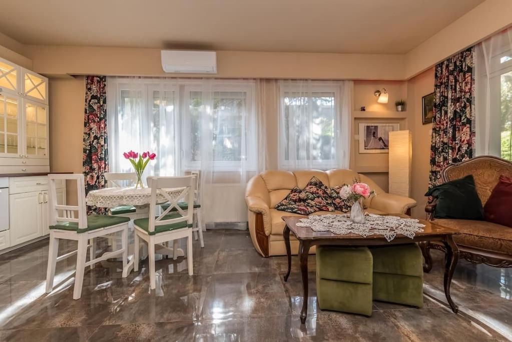 Szabi Buda New Terrace view 5