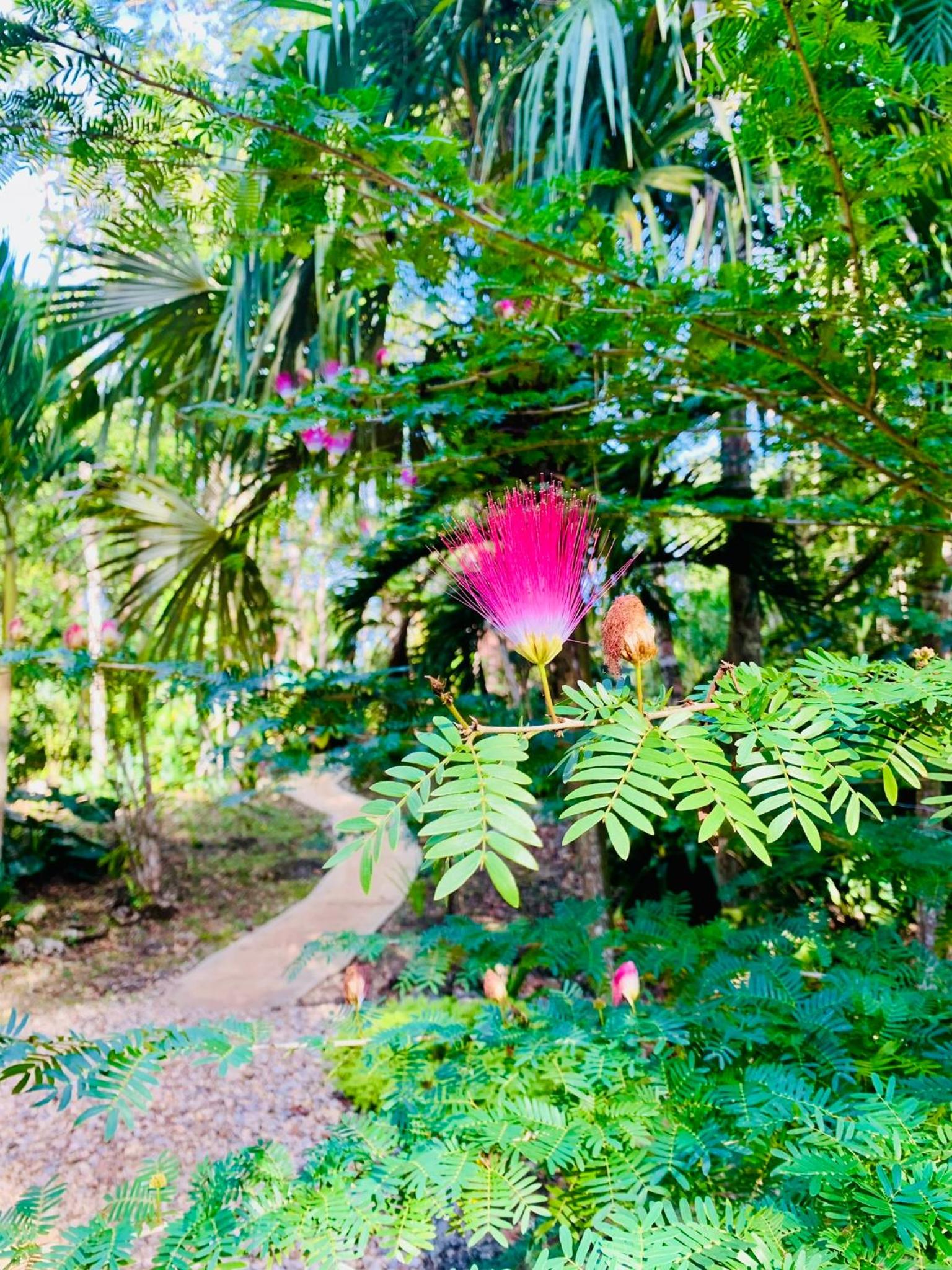 Belize Vacations - Mariposa Jungle Lodge - Property Image 2