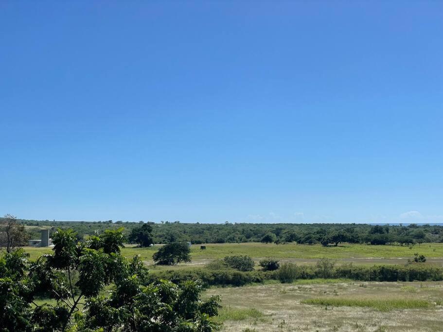 Photo 20