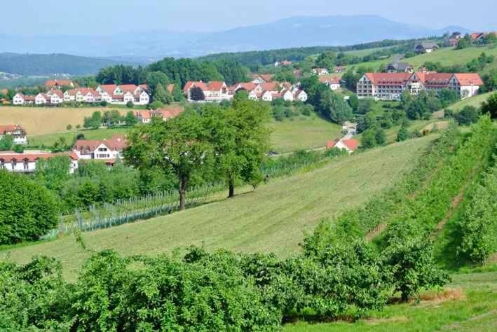 Apartment in Bad Waltersdorf - Steiermark 44009