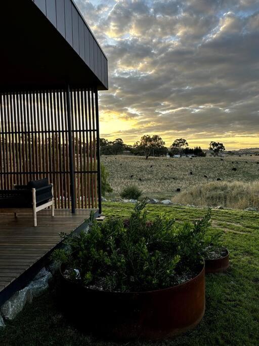 The Horned Cow - award winning luxe semi-rural house 10mins from Orange