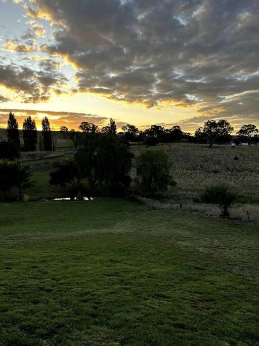The Horned Cow - award winning luxe semi-rural house 10mins from Orange