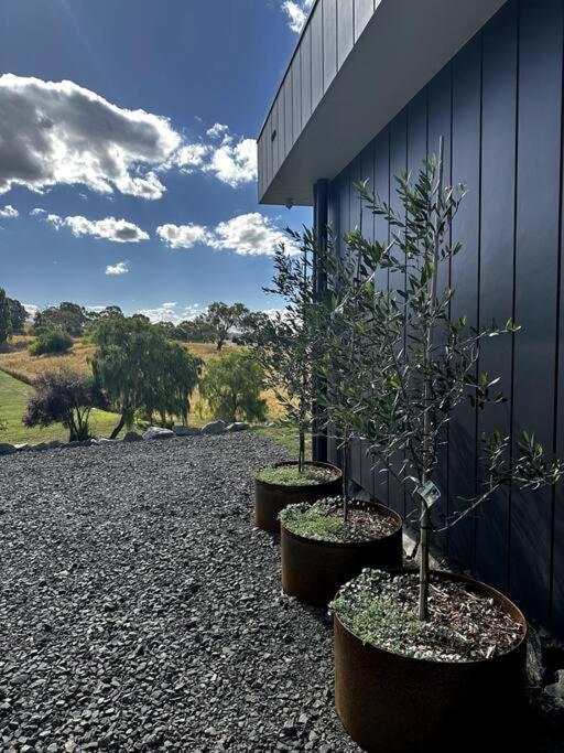 The Horned Cow - award winning luxe semi-rural house 10mins from Orange