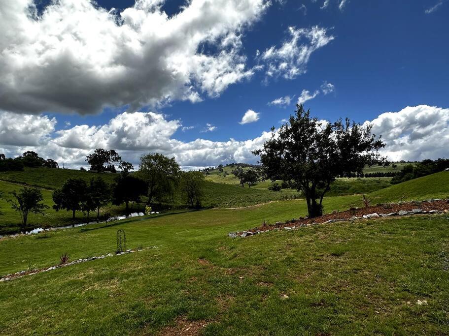 The Horned Cow - award winning luxe semi-rural house 10mins from Orange