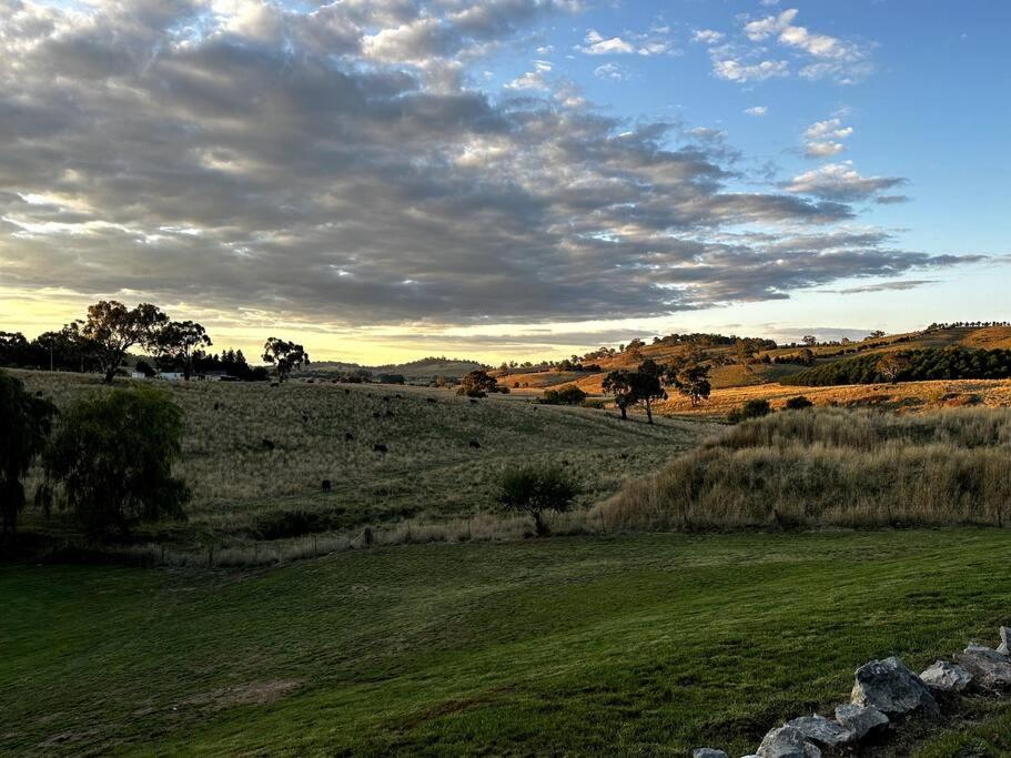 The Horned Cow - award winning luxe semi-rural house 10mins from Orange