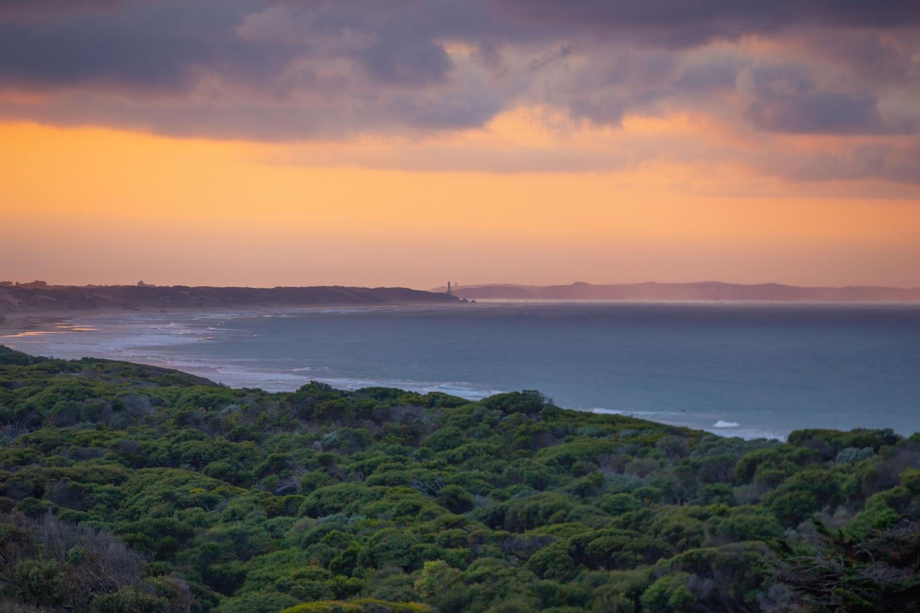 Orton Oceanview Luxury Retreat