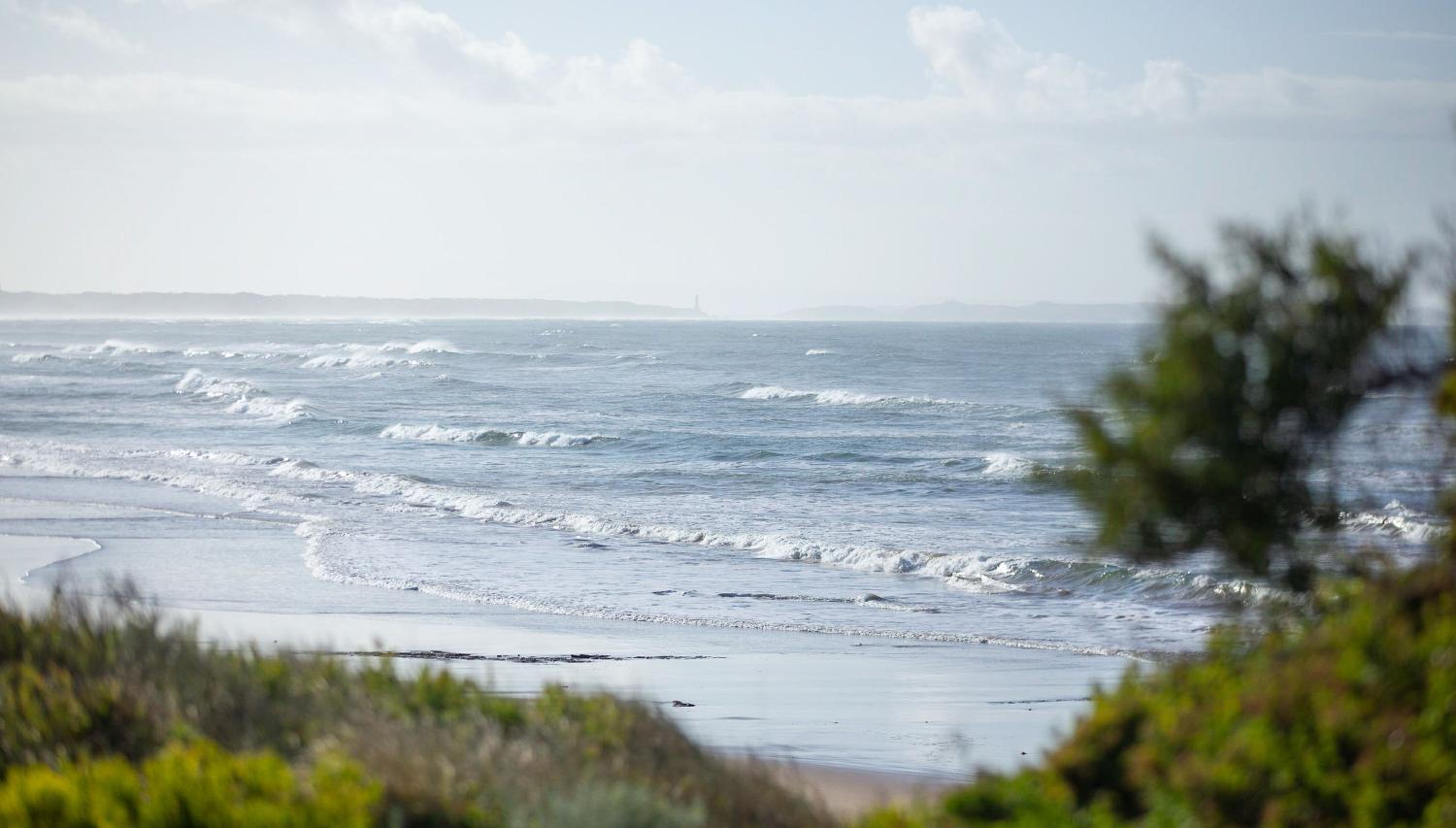 Orton Oceanview Luxury Retreat