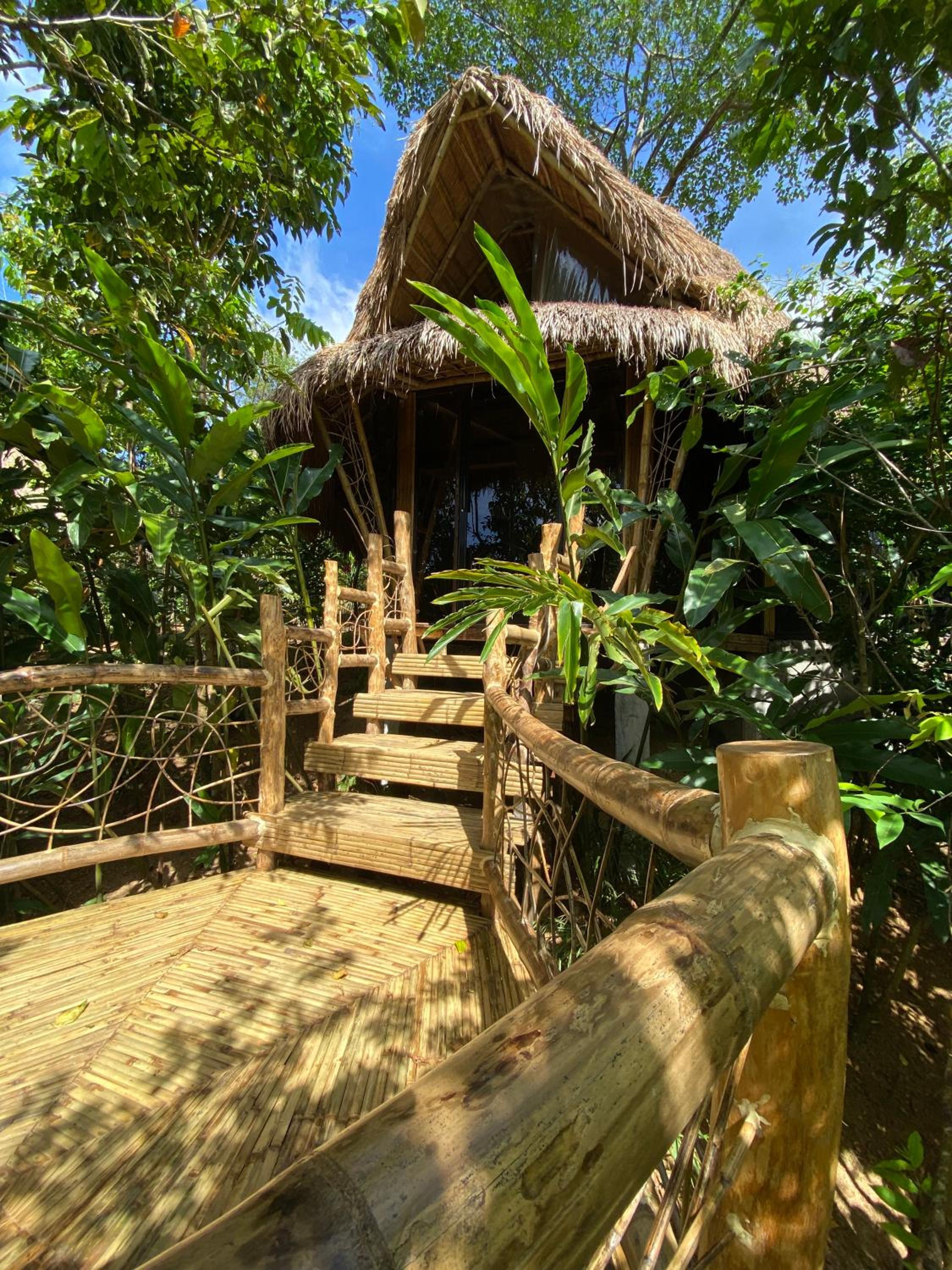 Photo 25