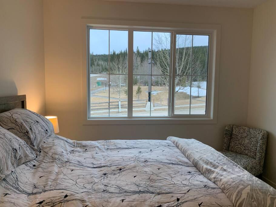 Brand New Collieries Guest House with Fireplace
