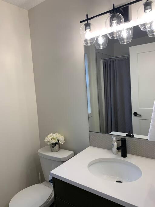 Brand New Collieries Guest House with Fireplace