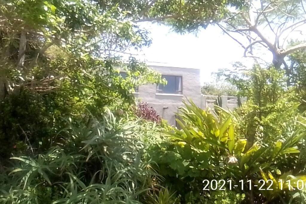Photo 28